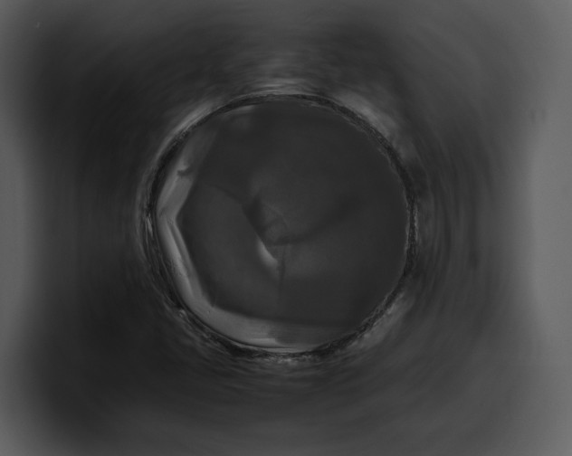 X0000100311405200806190933