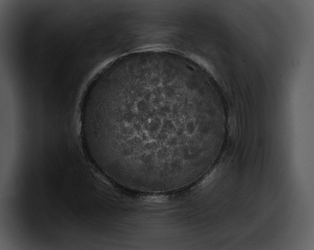 X0000100311406200806190933
