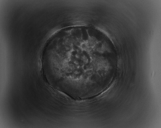 X0000100311407200806190933