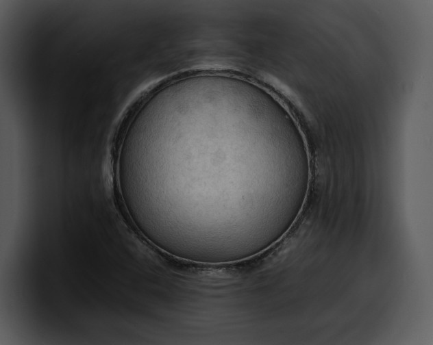 X0000100311408200806190933