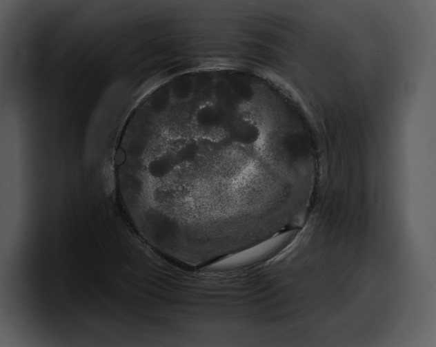 X0000100311409200806190933