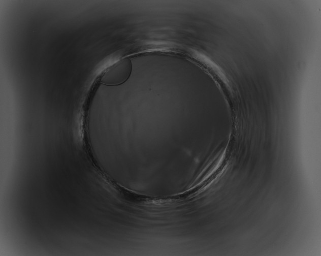 X0000100311411200806190933