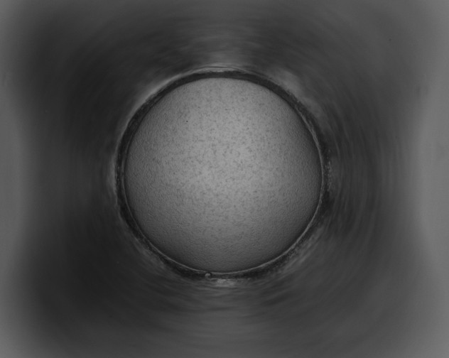 X0000100311412200806190933