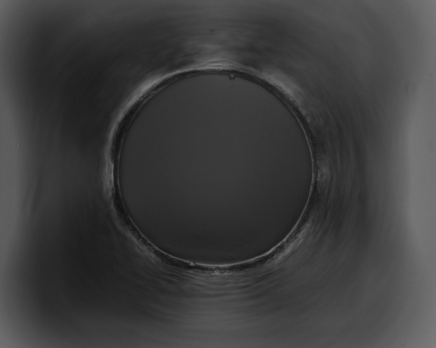 X0000100311414200806190933