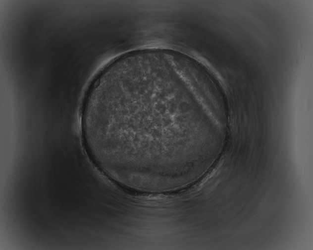 X0000100311416200806190933