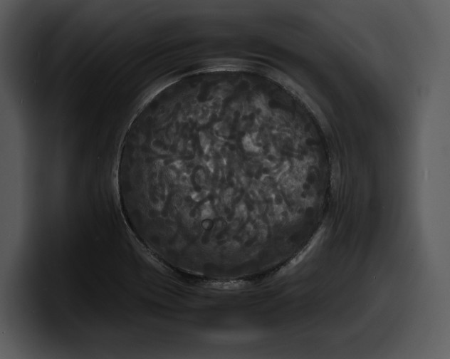 X0000100311417200806190933