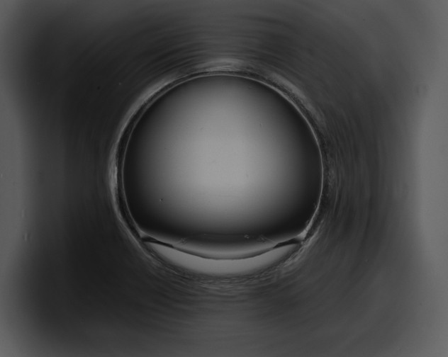 X0000100311418200806190933