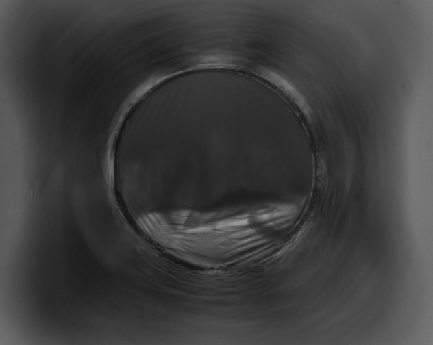 X0000100311419200806190933