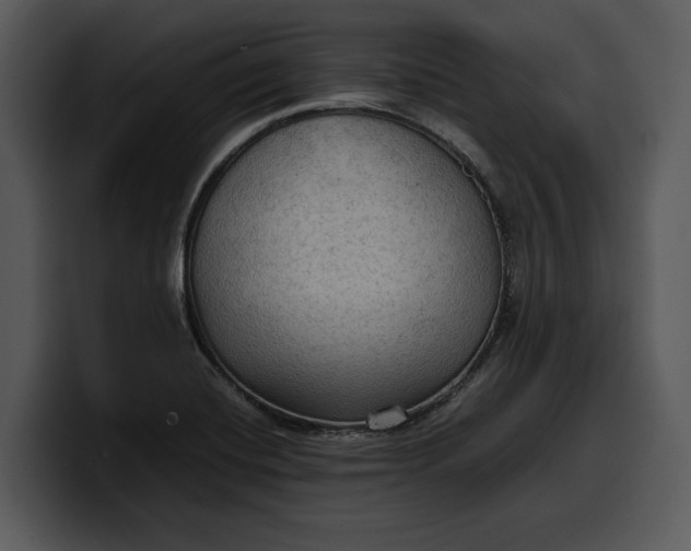 X0000100311420200806190933