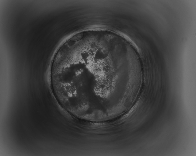 X0000100311421200806190933