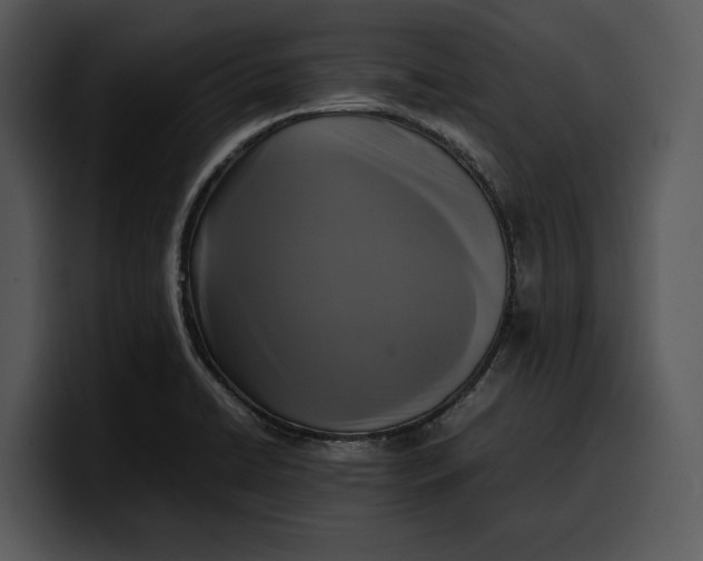 X0000100311422200806190933