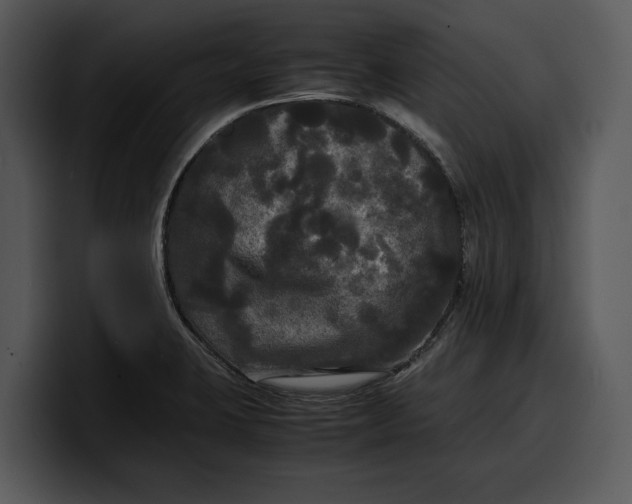 X0000100311423200806190933