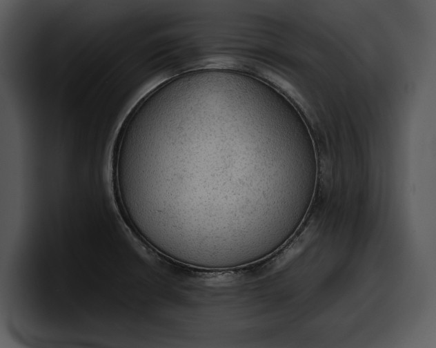X0000100311426200806190933
