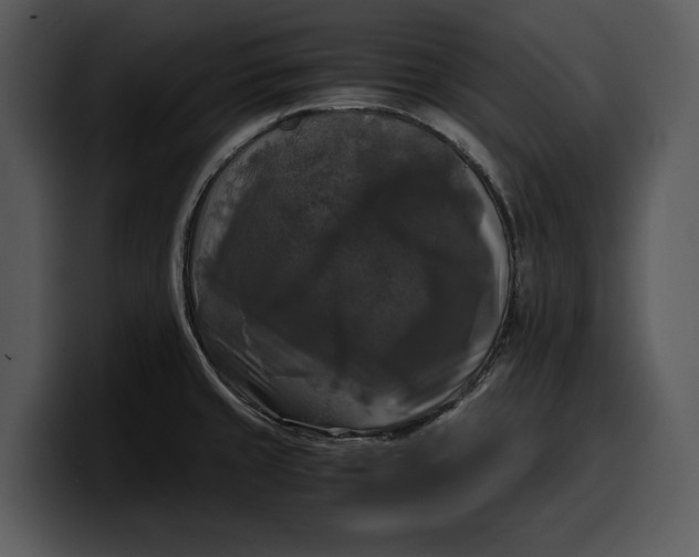 X0000100311429200806190933