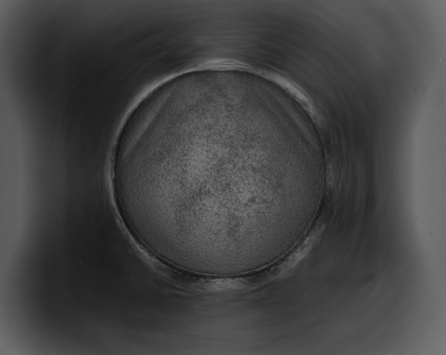 X0000100311430200806190933