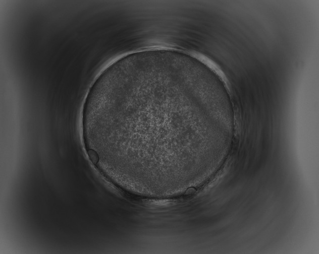 X0000100311431200806190933