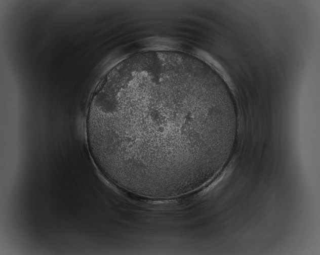 X0000100311433200806190933