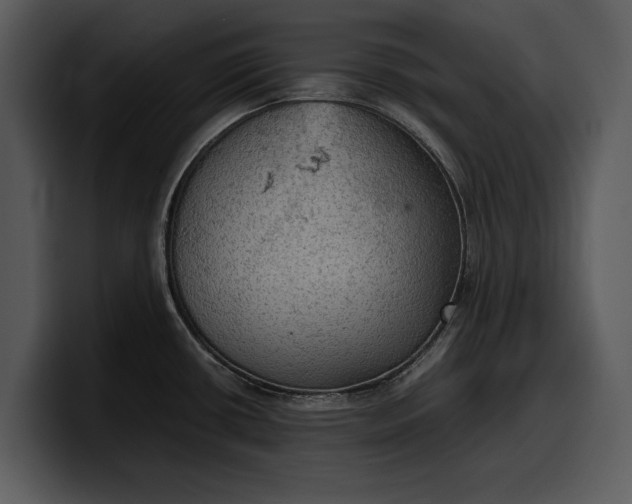 X0000100311434200806190933