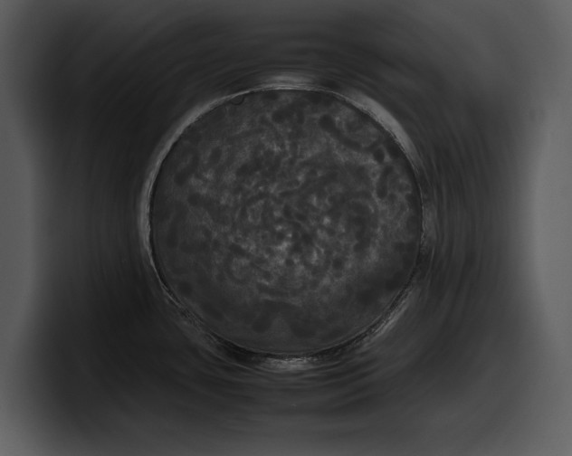 X0000100311435200806190933