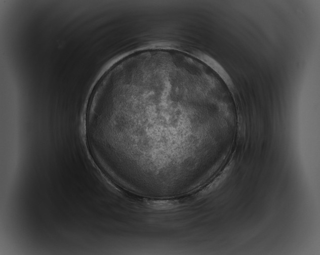 X0000100311436200806190933