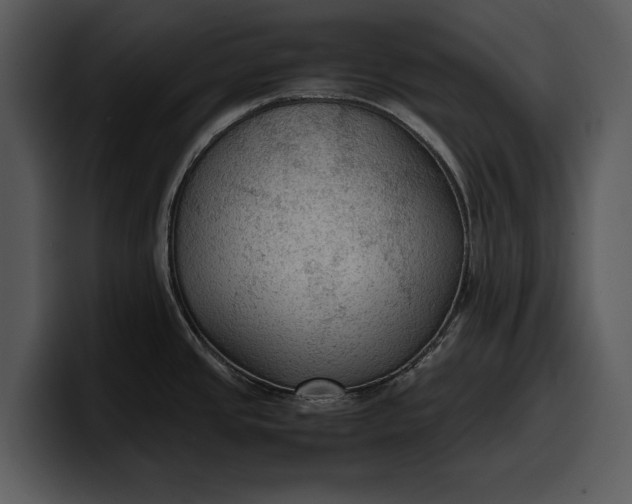 X0000100311437200806190933