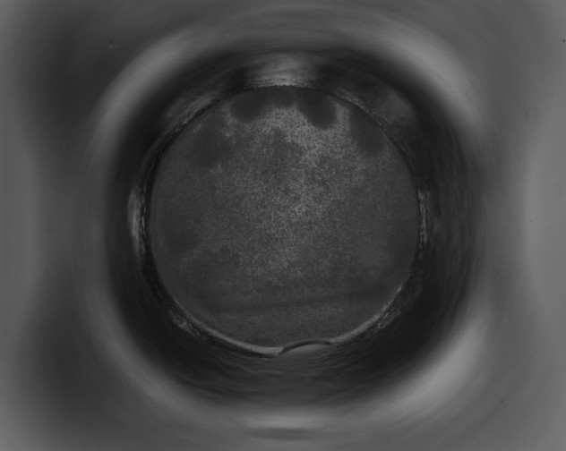 X0000100311438200806190933