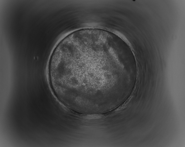 X0000100311440200806190933