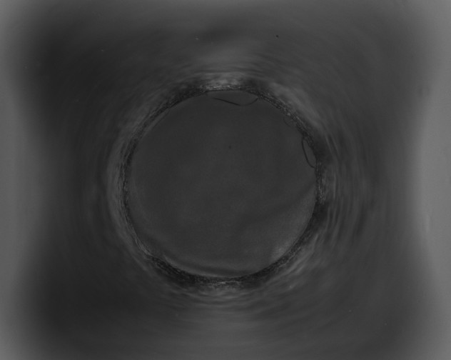 X0000100311441200806190933