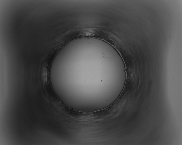 X0000100311442200806190933