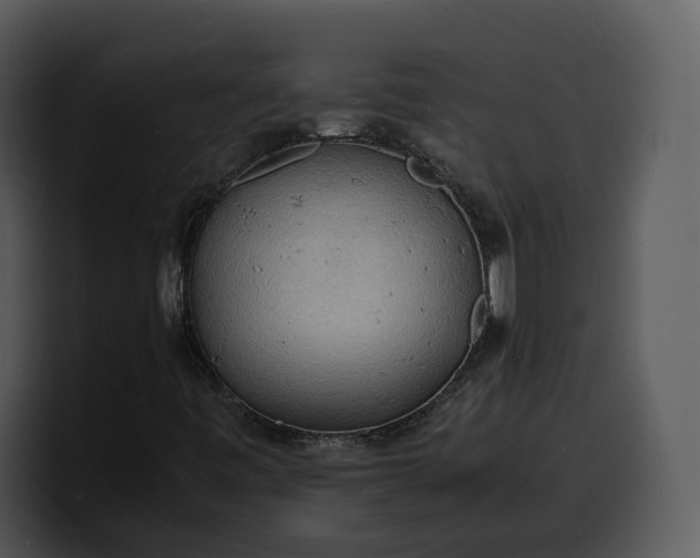X0000100311443200806190933