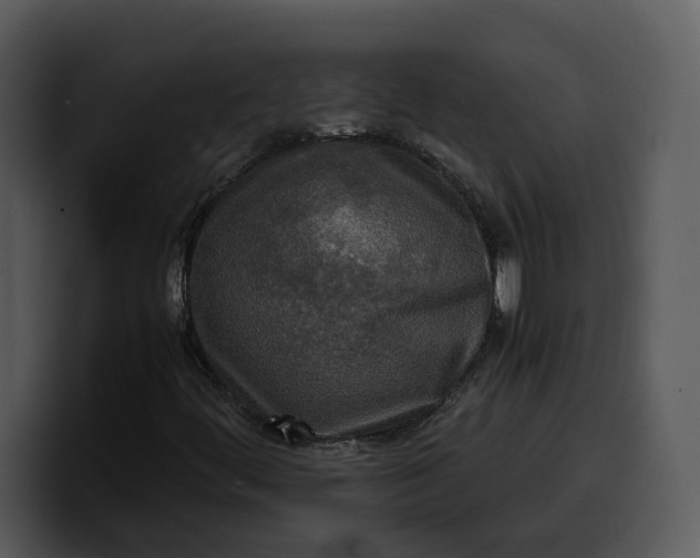 X0000100311444200806190933