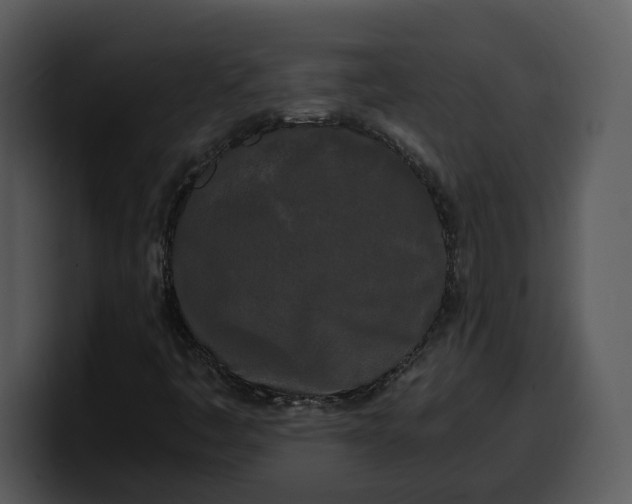 X0000100311445200806190933