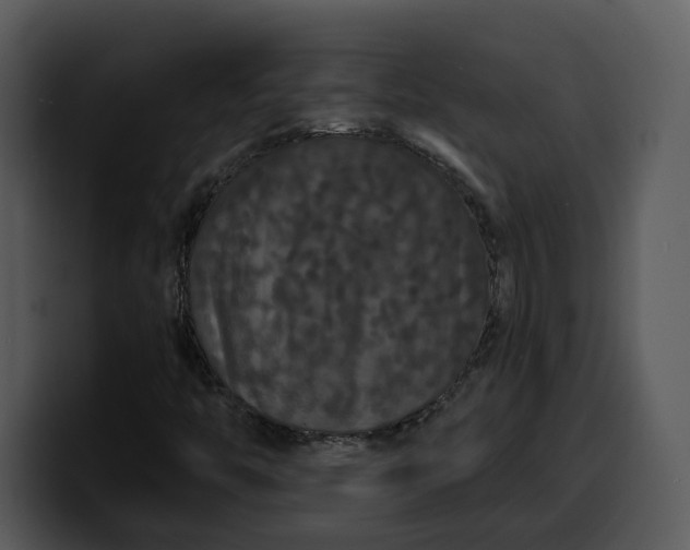 X0000100311446200806190933