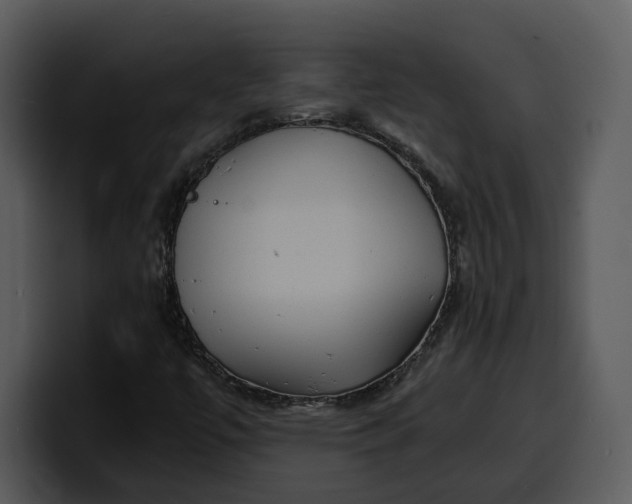 X0000100311447200806190933