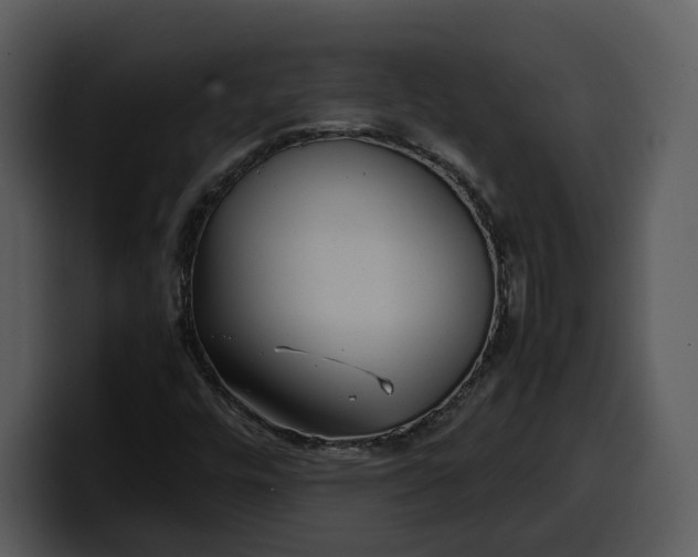 X0000100311448200806190933