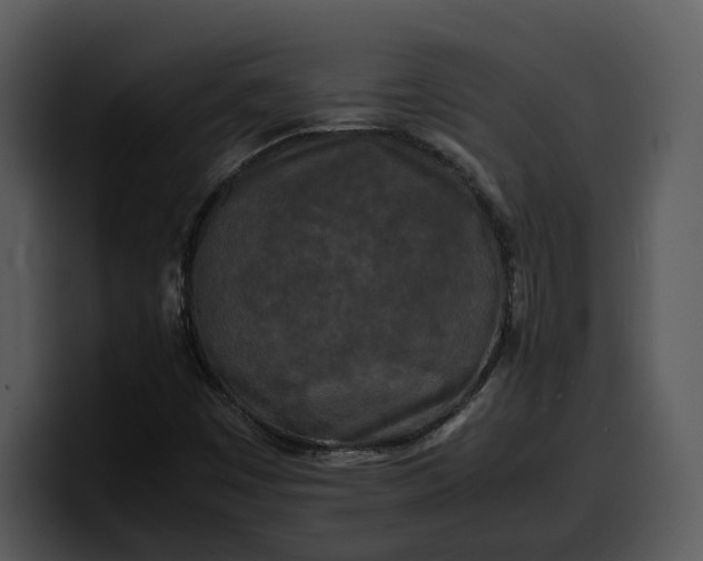 X0000100311449200806190933