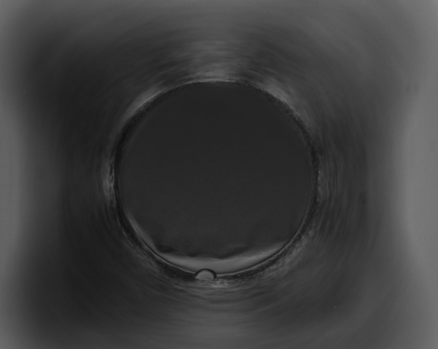 X0000100311450200806190933