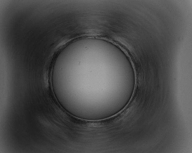 X0000100311451200806190933