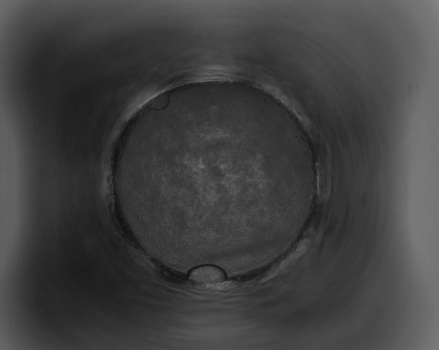 X0000100311453200806190933
