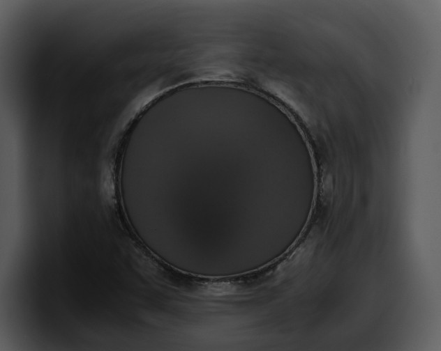 X0000100311455200806190932