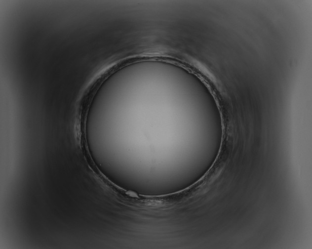 X0000100311456200806190932