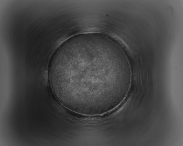 X0000100311457200806190932
