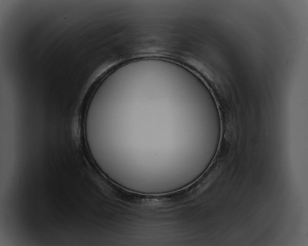 X0000100311458200806190932