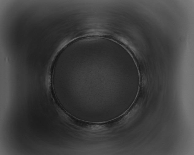 X0000100311459200806190932