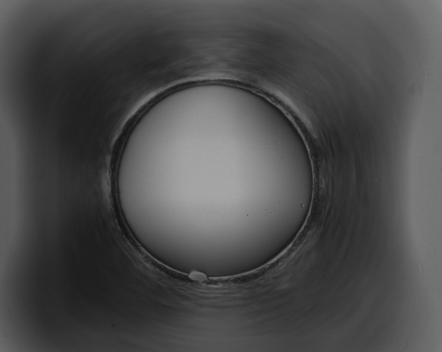 X0000100311460200806190932