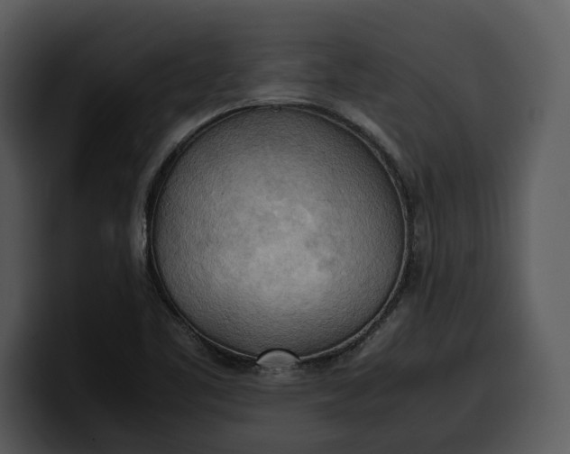 X0000100311461200806190932