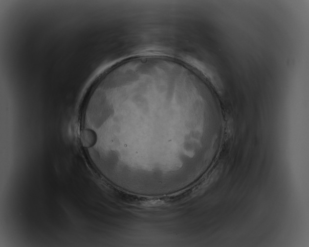 X0000100311462200806190932
