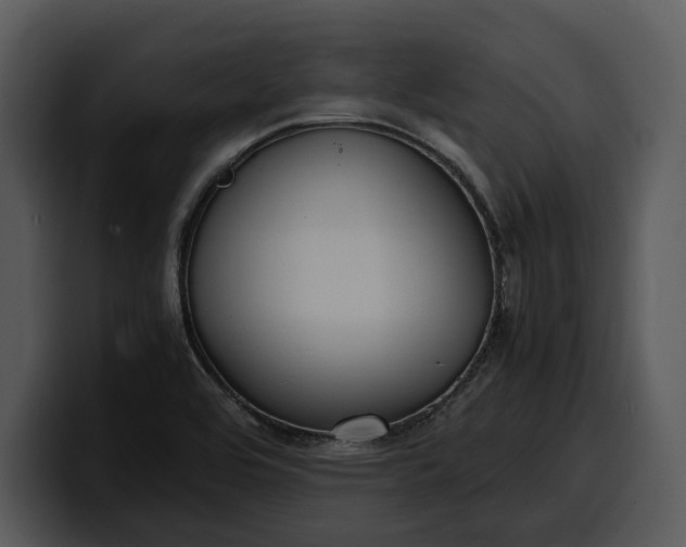 X0000100311464200806190932