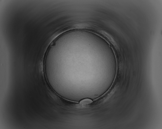 X0000100311465200806190932