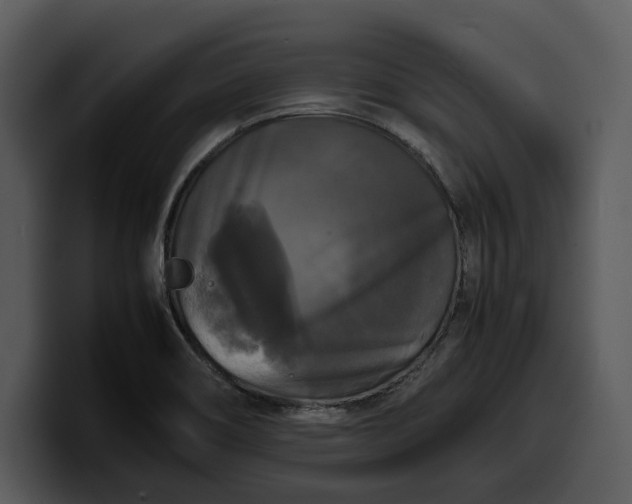 X0000100311466200806190932